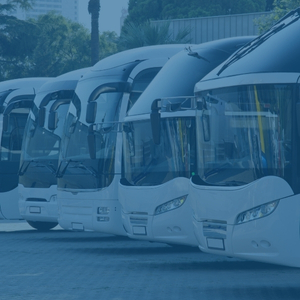 Bus & Coach