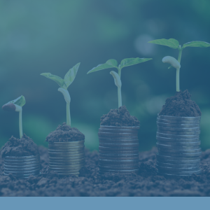 Asset Finance